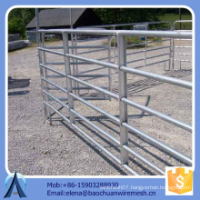 electric fence for sheep